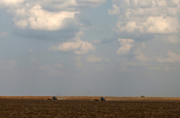 Bild vergrößern: Ukraine: EU-Parlament beschließt Beschränkungen für zollfreie Agrarimporte