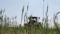 Bayer will Bio-Insektenvernichtungsmittel für Getreide auf den Markt bringen