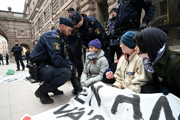 Bild vergrößern: Greta Thunberg wegen Klimaprotesten in Schweden angeklagt