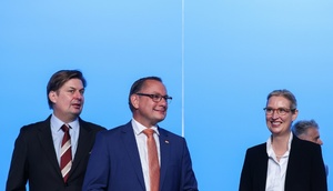 AfD beginnt EU-Wahlkampf in Donaueschingen - Ohne Spitzenkandidat Krah