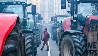 EU-Agrarminister beraten über Erleichterungen für Bauern