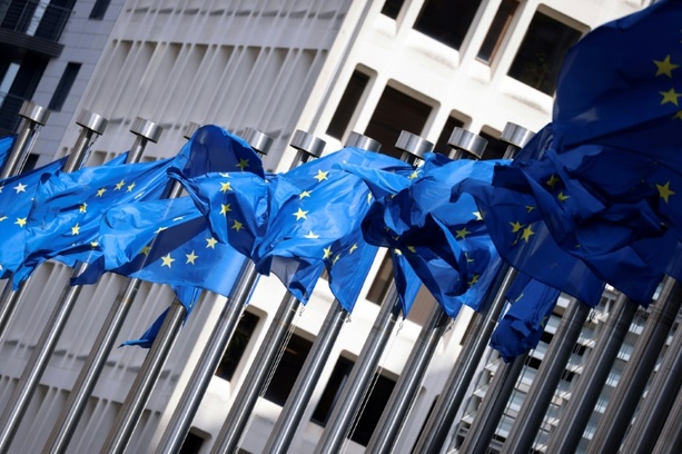 Bild vergrößern: Ostausschuss: EU-Erweiterung muss aktiv angegangen werden