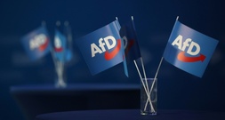 Streit um Kommunalwahl: Rücktrittsforderung aus Thüringer AfD an Höcke