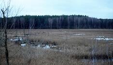EU-Kommissarin plant Zertifikate für Wiederherstellung der Natur