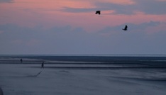 Bestattungsschiff strandet vor Juist - Seenotretter holen Passagiere von Bord