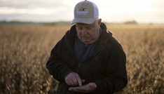 Weißes Haus: Trump plant Agrarhilfen von zwölf Milliarden Dollar