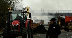 Mercosur und Rindervirus: Französische Bauern protestieren weiter