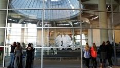 Bundestag befasst sich mit Start-up-Förderung und Krankenkassen