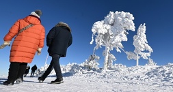Krankenhäuser melden Anstieg der Patientenzahlen durch Winterwetter