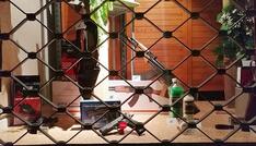 Fast eine Million Kleine Waffenscheine in Deutschland registriert