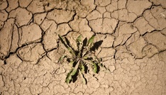 Fehlende Niederschläge: Wasserspeicherung in Deutschland nimmt ab