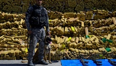 Polizeihund in Rio de Janeiro erschnüffelt zufällig Rekordmenge an Drogen