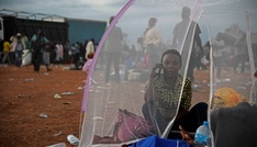 Chipknappheit durch KI bremst stärkere weltweite Internetverbreitung aus