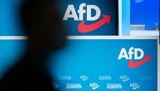 Wirtschaftsweise: AfD-Regierung in Sachsen-Anhalt würde Fachkräfte abschreckenÂ