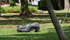 Von Mähnfred bis Saugi: Ein Drittel gibt Haushaltsrobotern Namen
