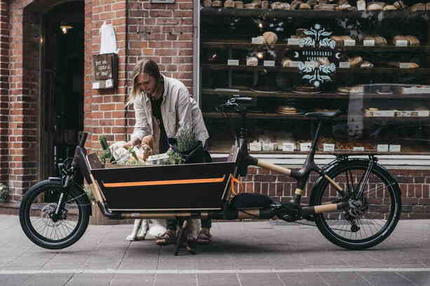 Bildergalerie: My Boo bringt Bambus-Lastenrad - Mit einer Spur mehr Natur