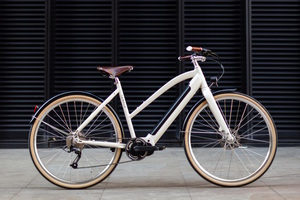 Temple Cycles Electric - Liebreiz dank Leder