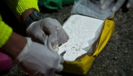 Lange Haftstrafen für Schmuggel von gut zwei Tonnen Kokain über Hamburger Hafen