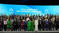 WTO-Ministerkonferenz endet ohne Einigung in wichtigsten Fragen