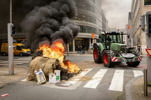 Bild vergrößern: Ukraine: Zähe Verhandlungen über Beschränkungen für zollfreie Agrarimporte