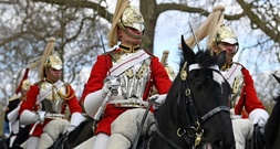 Zwei Pferde nach wildem Lauf durch Londoner Zentrum schwer verletzt