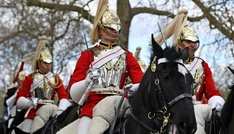 Zwei Pferde nach wildem Lauf durch Londoner Zentrum schwer verletzt