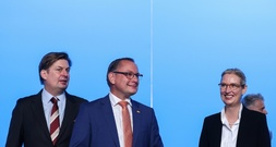 AfD beginnt EU-Wahlkampf in Donaueschingen - Ohne Spitzenkandidat Krah