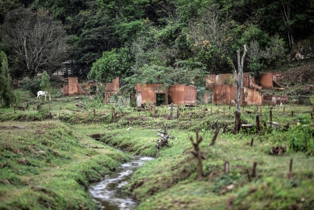 Bild vergrößern: Bergbau-Konzerne bieten Milliarden-Entschädigung wegen Dammbruch in Brasilien an