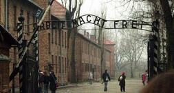 Paus fordert Besuchsprogramme für Azubis in Auschwitz