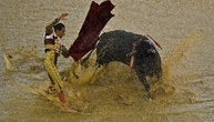 Spaniens Regierung schafft Stierkampf-Preis ab