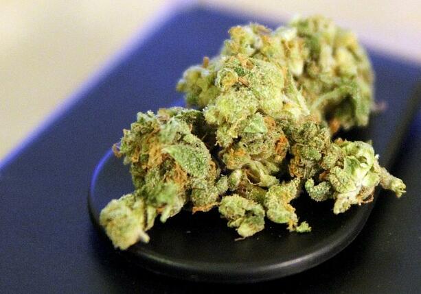 Bild vergrößern: Bundesregierung ebnet Weg für legalen Verkauf von Cannabis