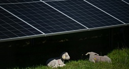 Nach EU-Ermittlung: Chinesische Solarhersteller ziehen Angebote zurück