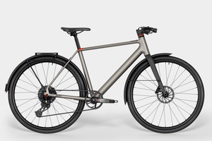 Möve Avian - Superleichtes Titan-Pedelec 