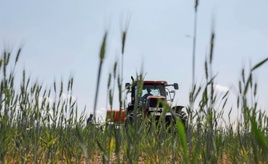 Einkommen und Betriebsgewinne von Landwirten steigen deutlich