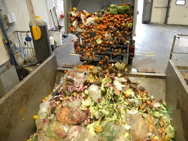 Bild vergrößern: EU-Umweltminister beraten über Lebensmittelverschwendung und Greenwashing