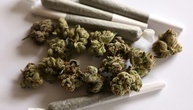 Studie: Fast die Hälfte der jungen Erwachsenen hat Cannabis ausprobiert