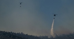 Feuerwehr kämpft nahe der griechischen Hauptstadt gegen weitläufigen Waldbrand