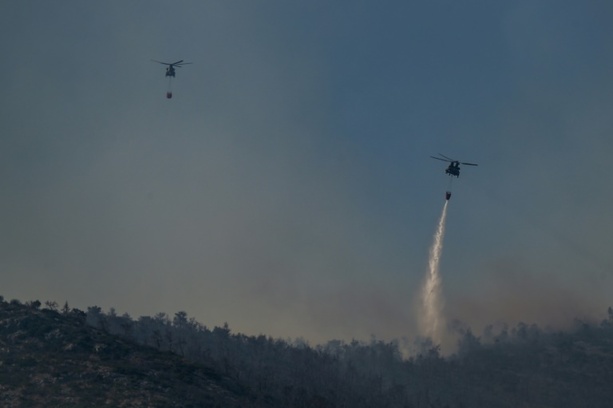 Bild vergrößern: Feuerwehr kämpft nahe der griechischen Hauptstadt gegen weitläufigen Waldbrand