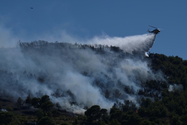 Bild vergrößern: Griechische Feuerwehr kämpft gegen mehr als 40 Waldbrände