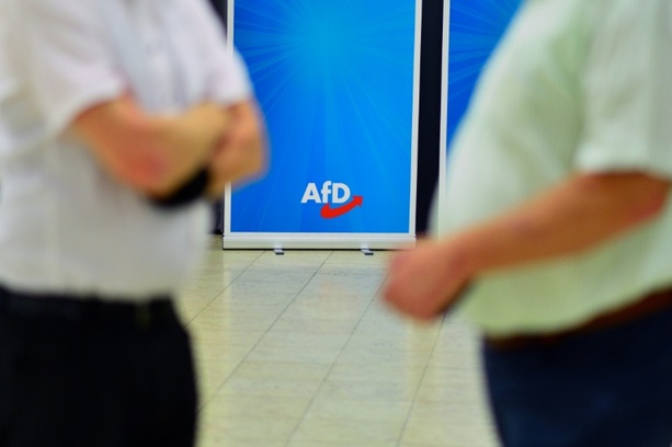 Bild vergrößern: Wirtschaft sieht Erstarken der AfD als Standortrisiko - Irritationen im Ausland