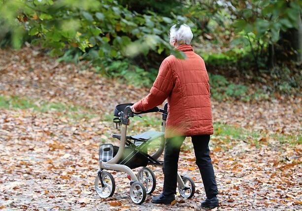 Bild vergrößern: Zahl der Rentner mit Sozialhilfebezug auf Höchststand
