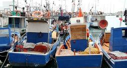 Betriebshilfen für Fischer werden verlängert