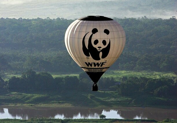 Bild vergrößern: Bericht: Massive Finanzlücken beim WWF - Entlassungen geplant