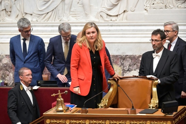Bild vergrößern: Frankreichs Abgeordnete bilden elf Fraktionen in der Nationalversammlung