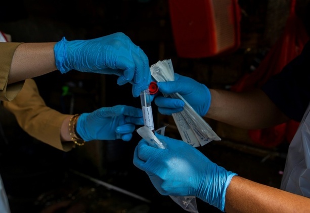 Bild vergrößern: Vogelgrippe: UNO warnt vor alarmierender Situation im Asien-Pazifik-Raum