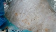 Rekordfund: 3,2 Tonnen Crystal Meth im Hafen von Rotterdam beschlagnahmt
