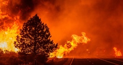 Tausende Menschen bei großem Waldbrand in Kalifornien evakuiert
