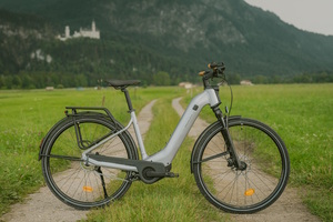 Decathlon Rockrider E-ACTV 900 - Trekking-Pedelec mit Automatik