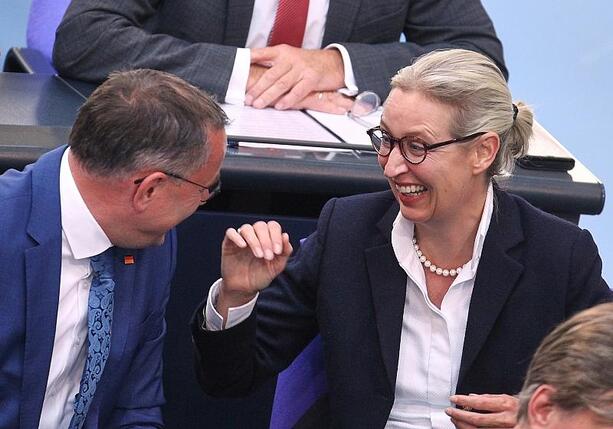 Bild vergrößern: AfD zieht in Forsa-Umfrage erstmals an Union vorbei