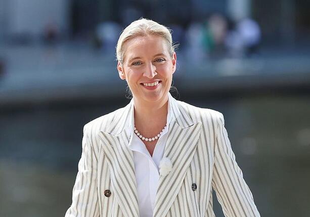Bild vergrößern: Politbarometer: AfD auf neuem Höchststand